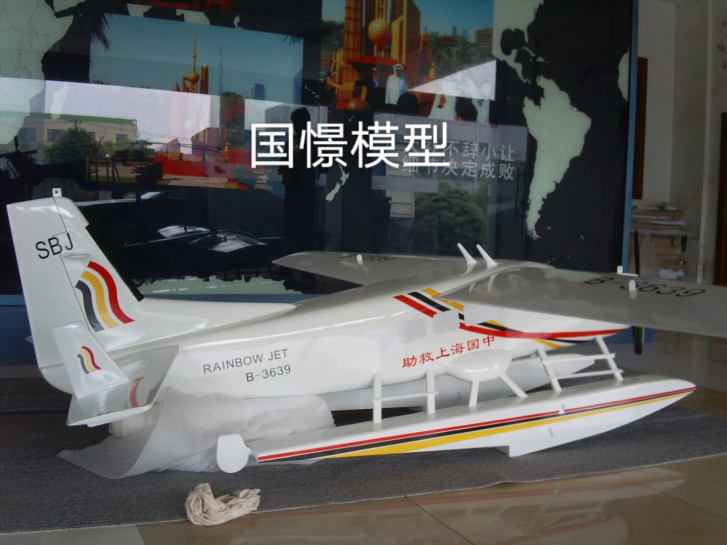 双柏县飞机模型