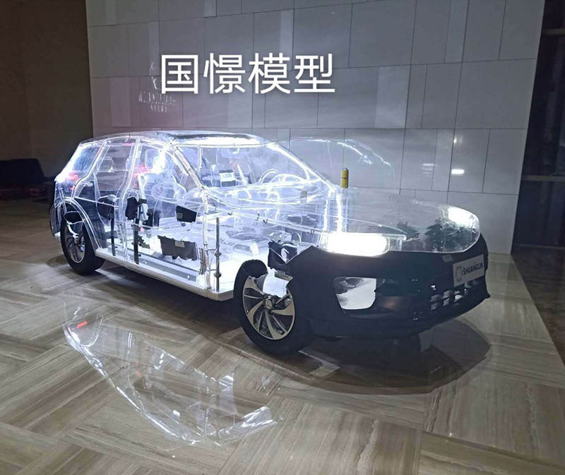 双柏县透明车模型